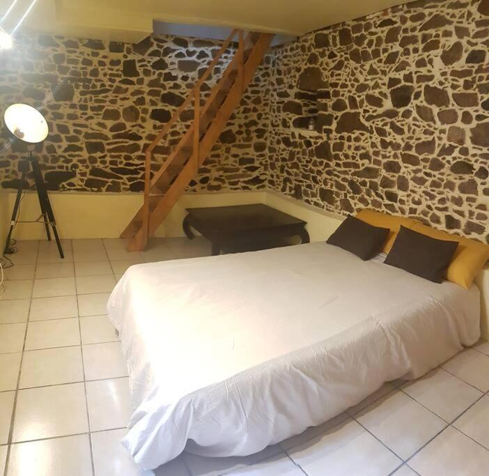 Maison Charmante Avec Jardin Centre-ville Proche Puy Du Fouu Arrivee Autonome