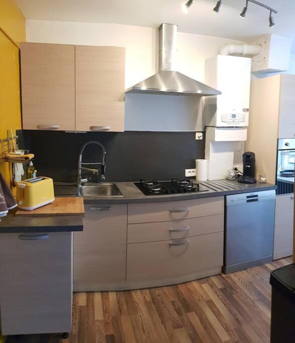 Maison Charmante Avec Jardin Centre-ville Proche Puy Du Fouu Arrivee Autonome Holiday home