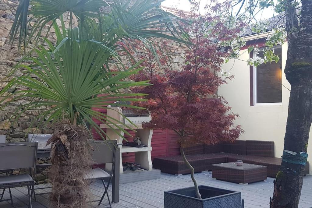 Maison Charmante Avec Jardin Centre-ville Proche Puy Du Fouu Arrivee Autonome